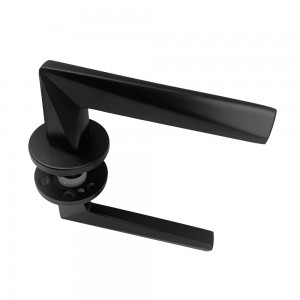 DS-FL25Y Elegant black square door handle