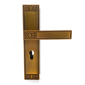 DS-M5823-102 AE Poignée de porte en bronze