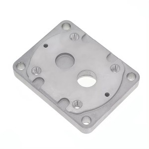 DS-DC0006 Aluminum Die Casting