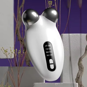 DS-M4005 Facial Massager