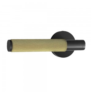 DS-B100 elegant black with elegant gold knurled door handle