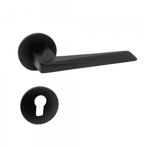 DS-FL25Y Elegant black square door handle