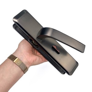 DS-R9066-XKH Deep space gray door handle