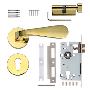 DS-5815-35 مقبض باب ذهبي مطلي بمادة PVD