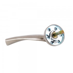 DS-S02-809 Stainless steel door handle