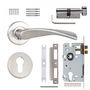 DS-S02-809 Stainless steel door handle