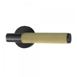 DS-B100 elegant black with elegant gold knurled door handle