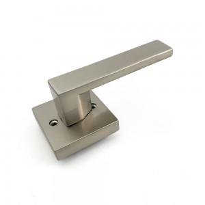 DS-Z100 Nickel brushed door handle (Access door)