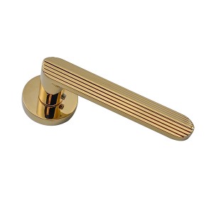 DS-810-79 Gold PVD door handle