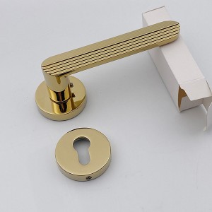 DS-810-79 Gold PVD door handle