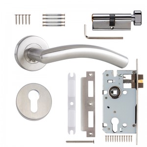 DS-S02-106 Stainless steel door handle