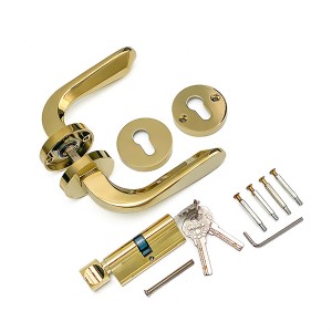 Maçaneta de porta em PVD dourado DS-5815-35