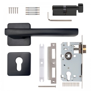 DS-58Q8-223 Elegant black door handle