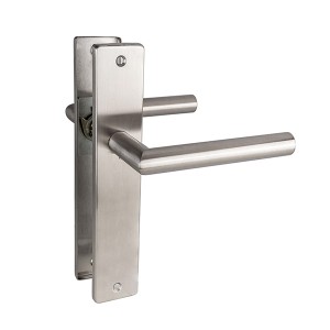 DS-CM81-103 Poignée de porte