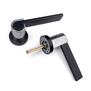 DS-810-613 Black – bright chrome door handle