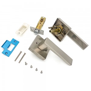 DS-Z100 Nickel brushed door handle (Access door)