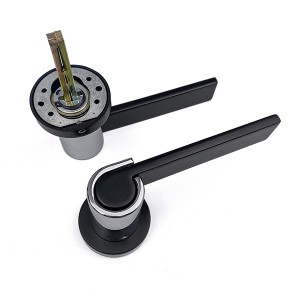 DS-810-613 Black – bright chrome door handle