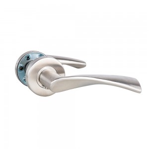 DS-S02-809 Stainless steel door handle