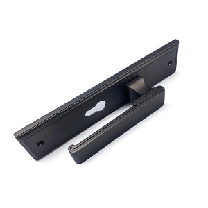 DS-R50116-XKH gray door handle