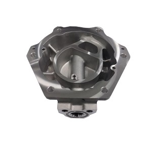 DS-NE0001 New Energy Aluminum Die Casting