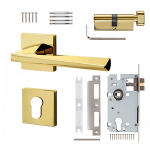 DS-811-62 مقبض باب ماسي ذهبي مطلي بتقنية PVD