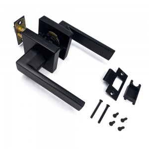 DS-Z100 Black Door handle (Access Door)