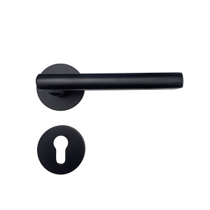 DS-FO3-5875 Ya black door handle