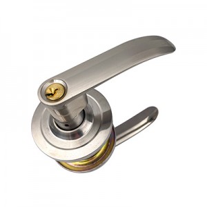 DS-200S Entry door handle