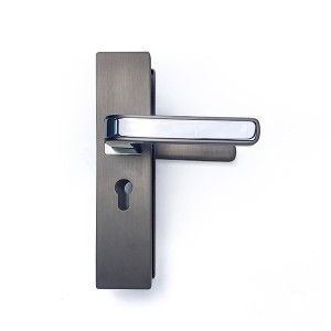 DS-RT6898- Starry Grey light door handle