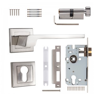 DS-A730 Poignée de porte en nickel brossé