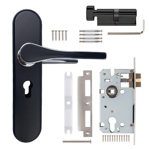 DS-RT62115-C-YH black-bright chrome door handle