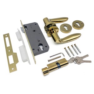 Maçaneta de porta em PVD dourado DS-5815-39