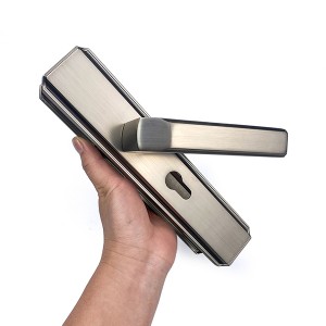 DS-R61006-YL Nickel brushed door handle