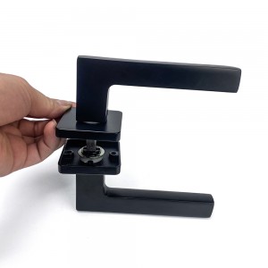 DS-58Q8-223 Elegant black door handle