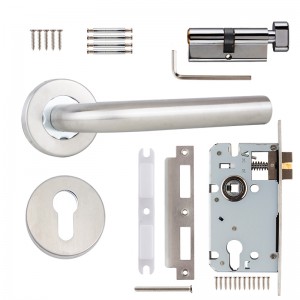 DS-S01-105 Stainless steel door handle