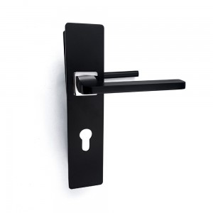 DS-OL002 Yahei door handle