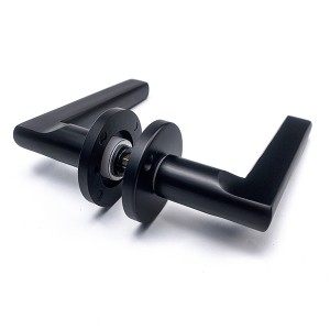 DS-FO3-5875 Ya black door handle