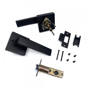 DS-Z100 Black Door handle (Access Door)