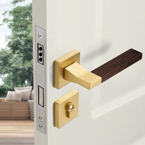 Maniglia per porta con venature del legno DS-58Q8-615PVD