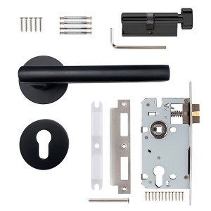 DS-FO3-5875 Ya black door handle