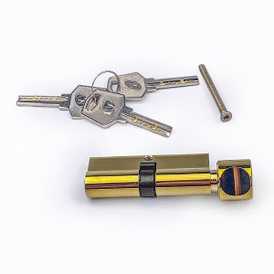 DS-C70-Z1 Gold PVD lock cartridge