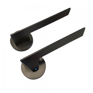 DS-A08-227 Steel gray door handle