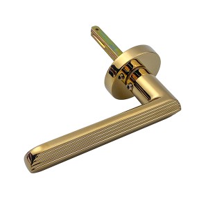 DS-810-79 Guld PVD dörrhandtag