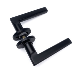 DS-FO3-5875 Ya black door handle