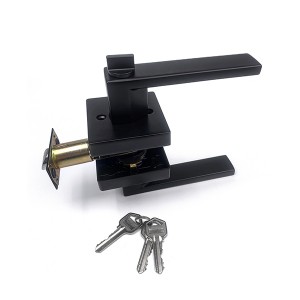 DS-Z100 Gagang Pintu Hitam (Pintu masuk)