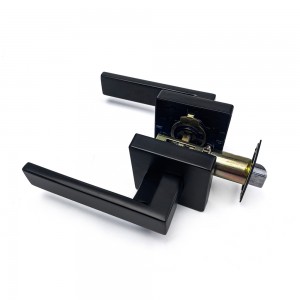 DS-Z100 Black Door handle (Access Door)