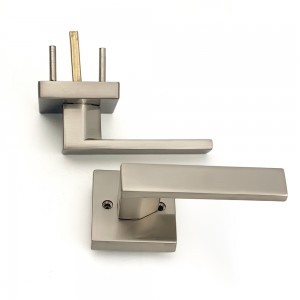 DS-Z100 Nickel brushed door handle (Access door)