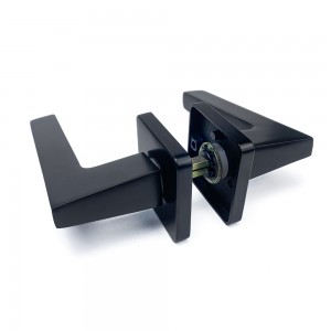 DS-58Q8-223 Elegant black door handle