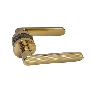 DS-810-79 Gold PVD door handle