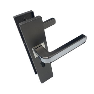 DS-RT6898- Starry Grey light door handle